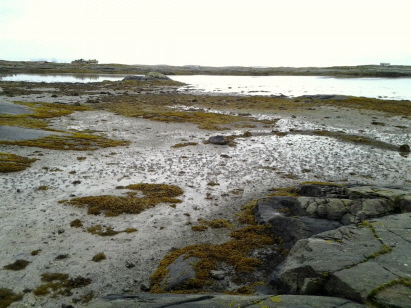 Links am Horizont: Insel TRÆNA.